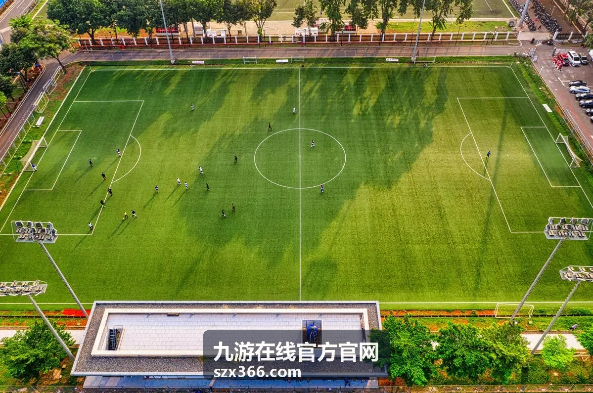 九游在线官方官网在线登录入口指引访问前准备示意图