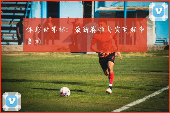 体彩世界杯：最新赛程与实时赔率查询