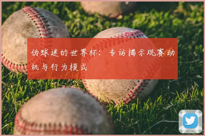 伪球迷的世界杯：专访揭示观赛动机与行为模式