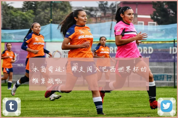 冰岛奇迹：那支闯入巴西世界杯的维京战吼